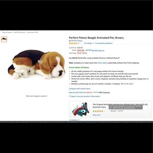 Perfect petzzz beagle puppy